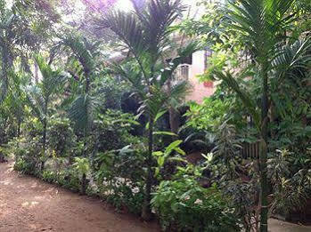 Pallava Dynasty Hotell Mahabalipuram Exteriör bild